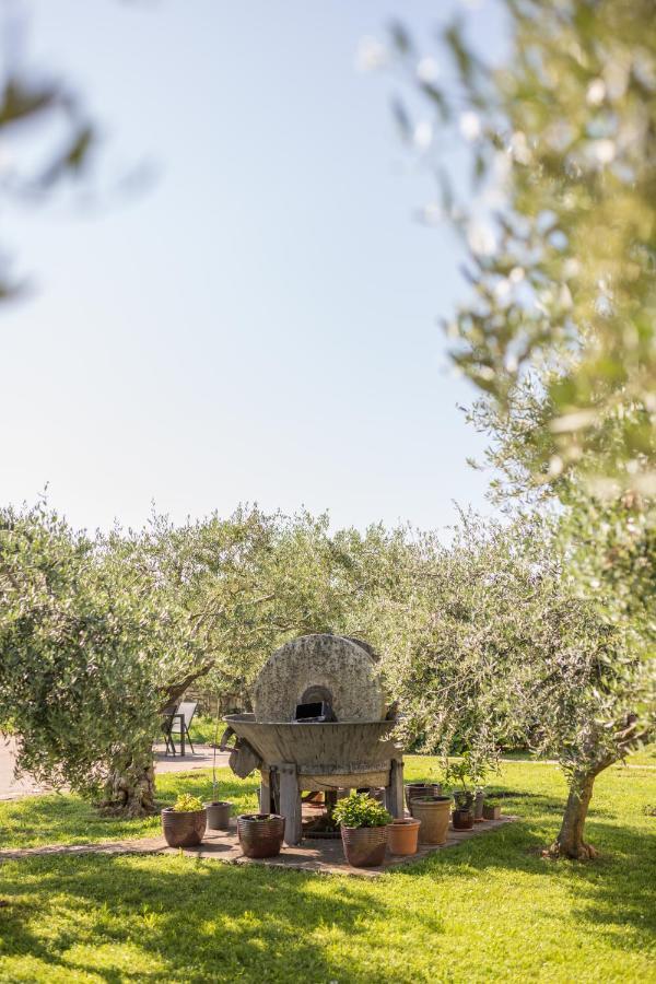 Hotel Maslina Seget  Dış mekan fotoğraf